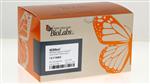 E7780S | NEBNext Multiplex Oligos for Illumina Dual Index P