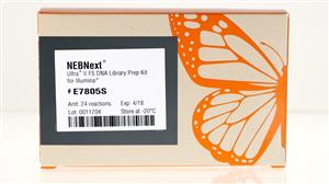 E7805S | NEBNext Ultra II FS DNA Library Prep Kit for Illum