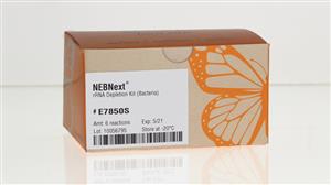 E7850S | NEBNext rRNA Depletion Kit Bacteria 6 reactions