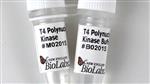 M0201L | T4 Polynucleotide Kinase 2500 units