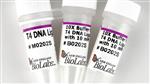 M0202L | T4 DNA Ligase 100000 units
