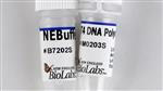 M0203S | T4 DNA Polymerase 150 units