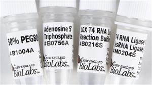 M0204L | T4 RNA Ligase 1 ssRNA Ligase 5000 units