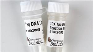 M0208S | Taq DNA Ligase 2000 units