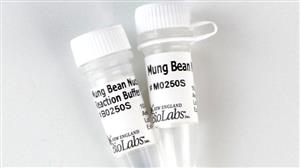 M0250S | Mung Bean Nuclease 1500 units