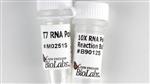 M0251S | T7 RNA Polymerase 5000 units