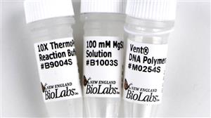 M0254S | Vent DNA Polymerase 200 units
