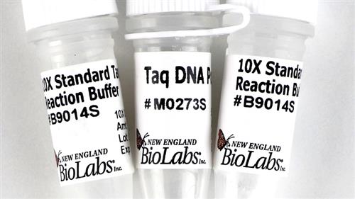 M0273S | Taq DNA Polymerase with Standard Taq Buffer 400 un