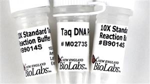 M0273S | Taq DNA Polymerase with Standard Taq Buffer 400 un