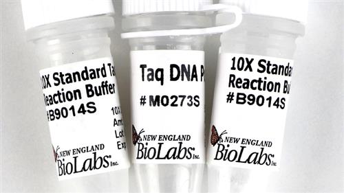 M0273X | Taq DNA Polymerase with Standard Taq Buffer 4000 u