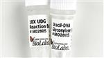 M0280L | Uracil DNA Glycosylase UDG 5000 units