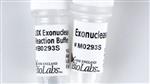 M0293L | Exonuclease I E.coli 15000 units