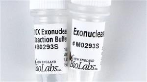 M0293S | Exonuclease I E.coli 3000 units