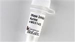 M0314L | RNase Inhibitor Murine 15000 units