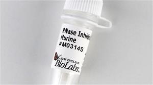 M0314S | RNase Inhibitor Murine 3000 units