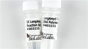 M0323L | LongAmp Taq DNA Polymerase 2500 units