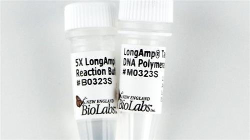 M0323S | LongAmp Taq DNA Polymerase 500 units