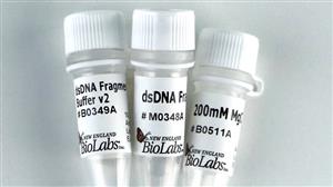 M0348L | NEBNext dsDNA Fragmentase 250 reactions