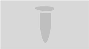 M0373L | T4 RNA Ligase 2 truncated KQ 10000 units