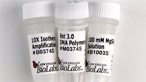 M0374S | Bst 3.0 DNA Polymerase 1600 units