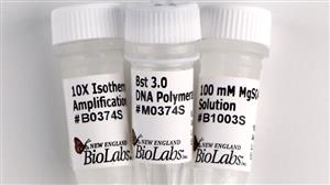 M0374S | Bst 3.0 DNA Polymerase 1600 units