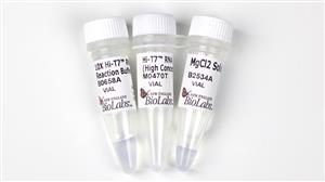 M0470T | Hi T7 RNA Polymerase High Concentration 50000 unit