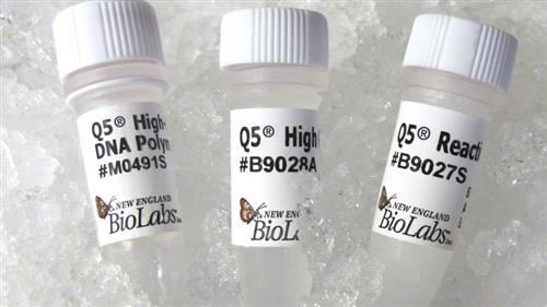 M0491L | Q5 High Fidelity DNA Polymerase 500 units