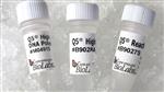 M0491L | Q5 High Fidelity DNA Polymerase 500 units