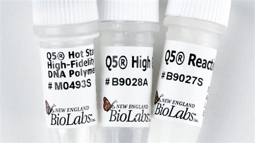 M0493L | Q5 Hot Start High Fidelity DNA Polymerase 500 unit