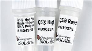 M0493S | Q5 Hot Start High Fidelity DNA Polymerase 100 unit
