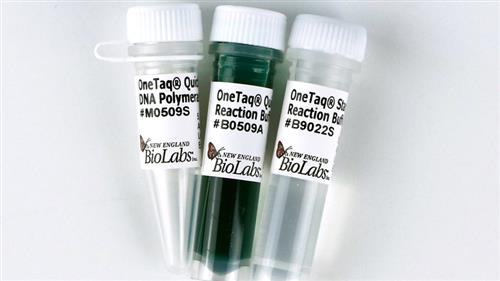 M0509L | OneTaq Quick Load DNA Polymerase 500 units