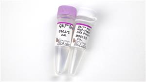 M0515S | Q5U Hot Start High Fidelity DNA Polymerase 100 uni