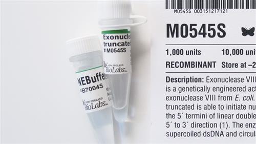 M0545S | Exonuclease VIII truncated 1000 units