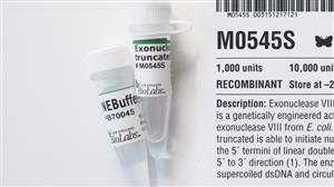 M0545S | Exonuclease VIII truncated 1000 units