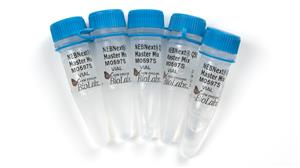 M0597L | NEBNext Q5U Master Mix 250 reactions