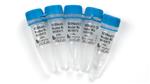 M0597L | NEBNext Q5U Master Mix 250 reactions
