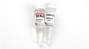 M0654T | EnGen Sau Cas9 500 pmol