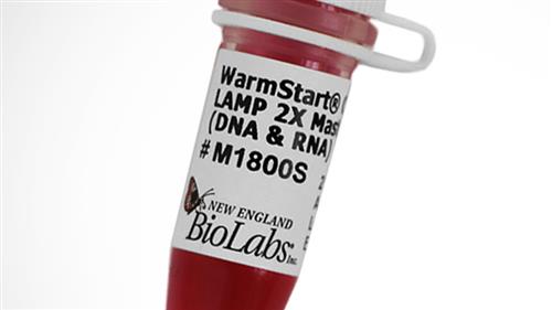 M1800S | WarmStart Colorimetric LAMP 2X Master Mix DNA RNA