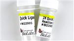 M2200L | Quick Ligation Kit 150 reactions