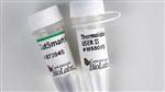 M5508S | Thermolabile USER II Enzyme 50 units