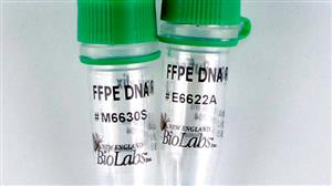 M6630L | NEBNext FFPE DNA Repair Mix 96 reactions