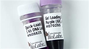N0552S | Quick Load Purple 1 kb DNA Ladder 125 gel lanes