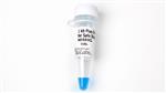 N0559S | 1 kb Plus DNA Ladder for Safe Stains 1.25 ml