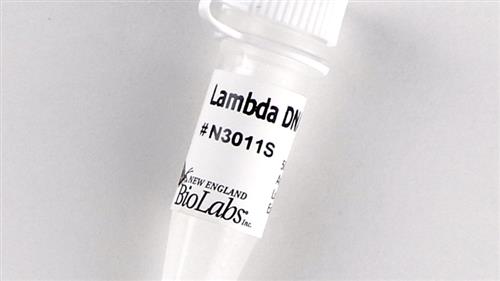 N3011L | Lambda DNA 1250 g