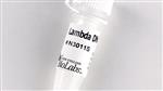 N3011L | Lambda DNA 1250 g