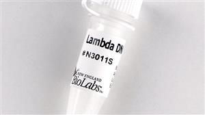 N3011S | Lambda DNA 250 g