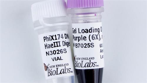 N3026S | PhiX174 DNA Hae III Digest 0.05 ml