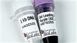 N3232L | 1 kb DNA Ladder 1000 gel lanes