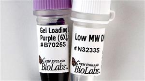 N3233S | Low Molecular Weight DNA Ladder 0.1 ml
