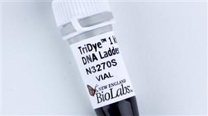 N3270S | TriDye 1 kb Plus DNA Ladder 250 gel lanes